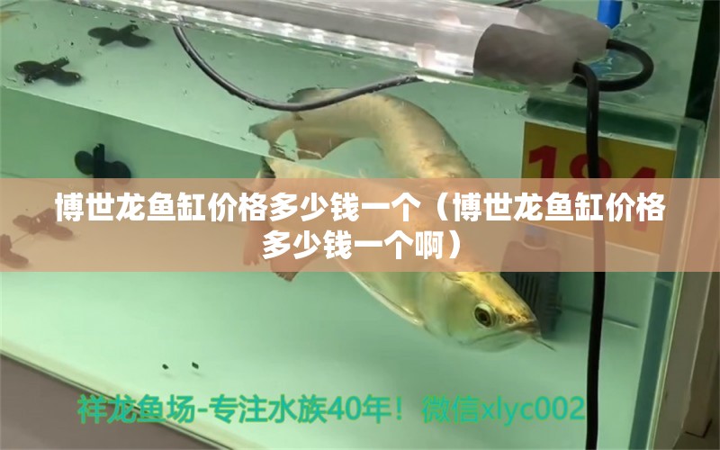 博世龍魚缸價(jià)格多少錢一個(gè)（博世龍魚缸價(jià)格多少錢一個(gè)?。?祥龍水族醫(yī)院