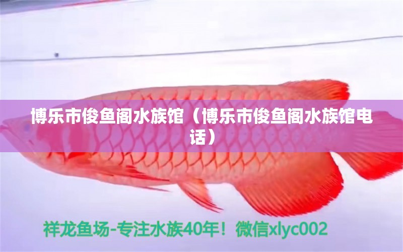 博樂市俊魚閣水族館（博樂市俊魚閣水族館電話）