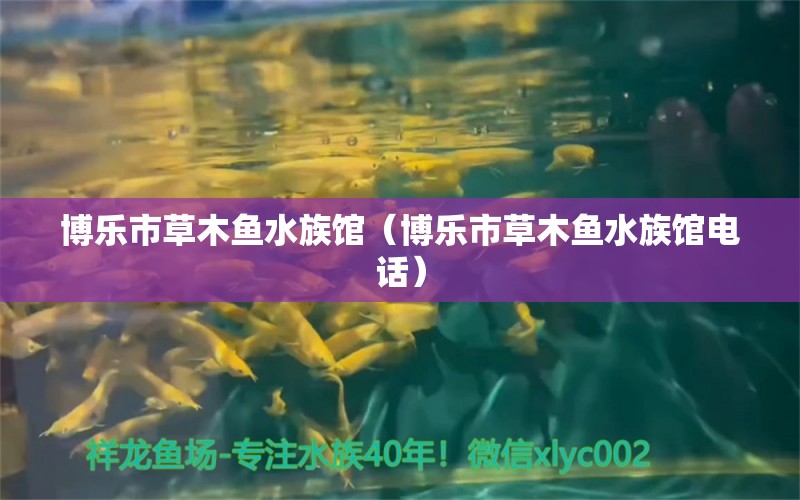 博樂市草木魚水族館（博樂市草木魚水族館電話）