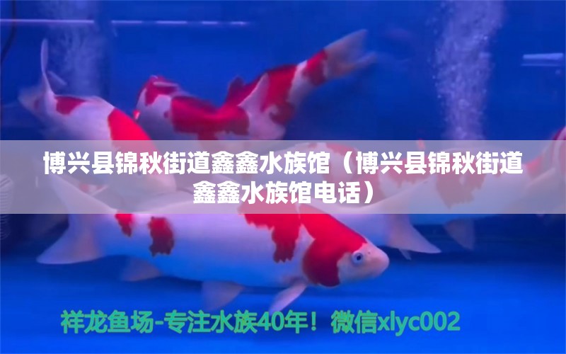 博興縣錦秋街道鑫鑫水族館（博興縣錦秋街道鑫鑫水族館電話）