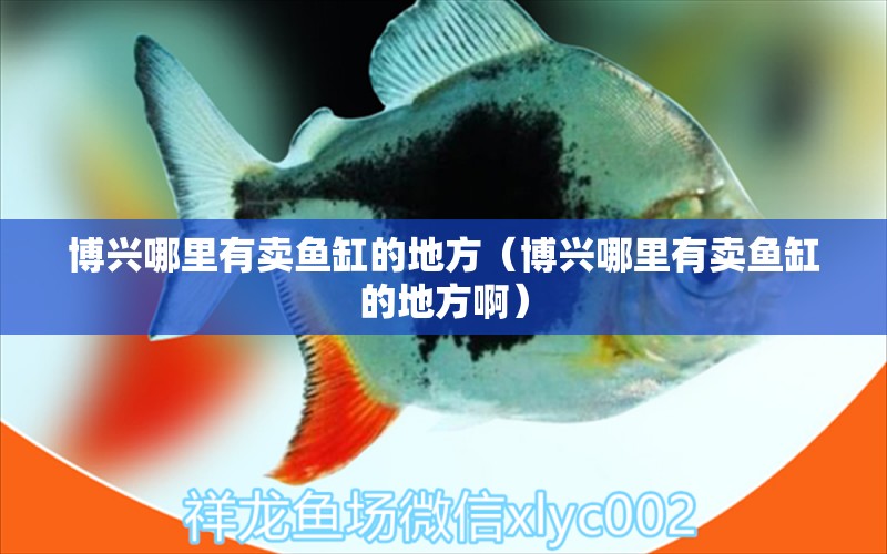 博興哪里有賣魚缸的地方（博興哪里有賣魚缸的地方?。? title=