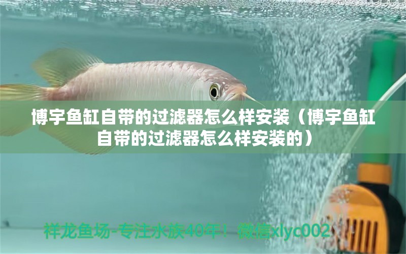 博宇魚缸自帶的過濾器怎么樣安裝（博宇魚缸自帶的過濾器怎么樣安裝的）