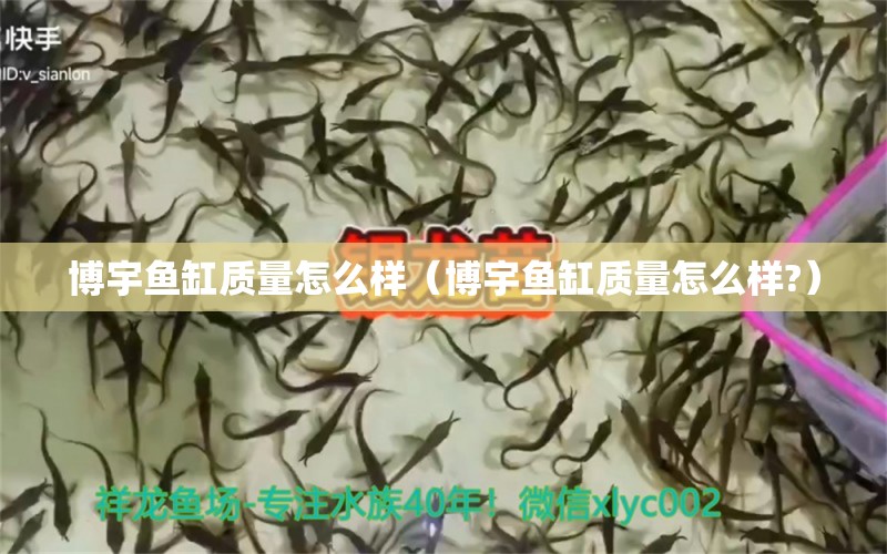 博宇魚(yú)缸質(zhì)量怎么樣（博宇魚(yú)缸質(zhì)量怎么樣?）