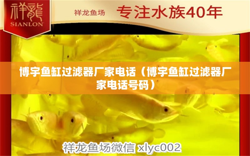 博宇魚缸過(guò)濾器廠家電話（博宇魚缸過(guò)濾器廠家電話號(hào)碼） 量子養(yǎng)魚技術(shù)