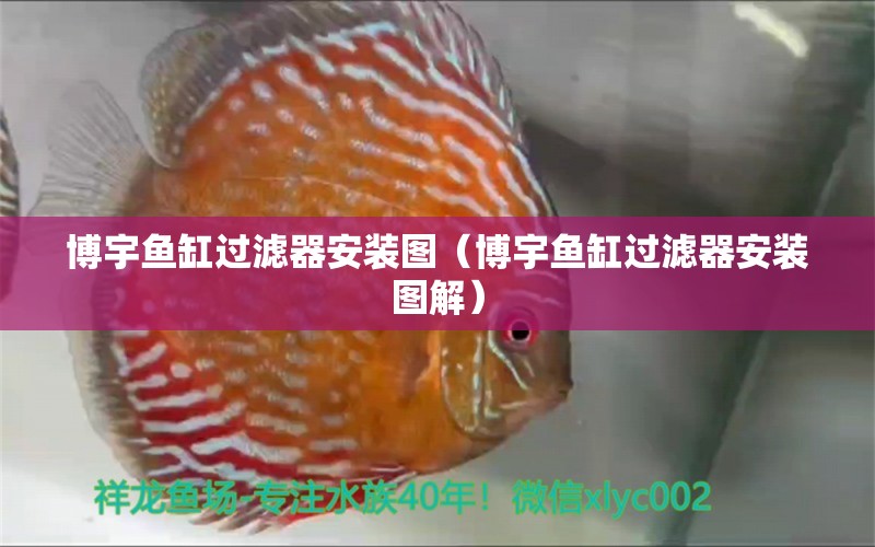 博宇魚缸過濾器安裝圖（博宇魚缸過濾器安裝圖解） 金龍福龍魚