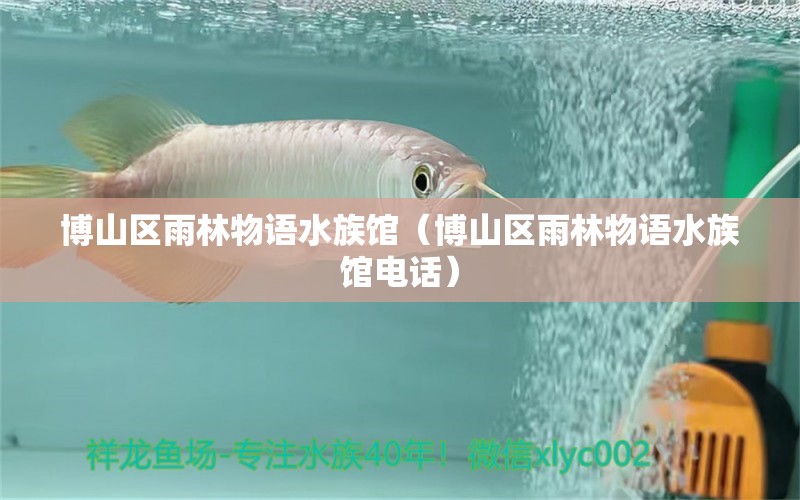 博山區(qū)雨林物語水族館（博山區(qū)雨林物語水族館電話）