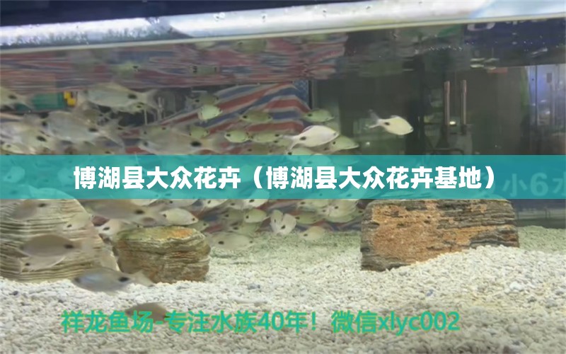 博湖縣大眾花卉（博湖縣大眾花卉基地） 全國(guó)水族館企業(yè)名錄