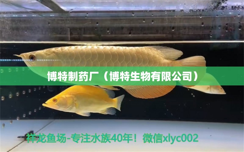 博特制藥廠（博特生物有限公司）