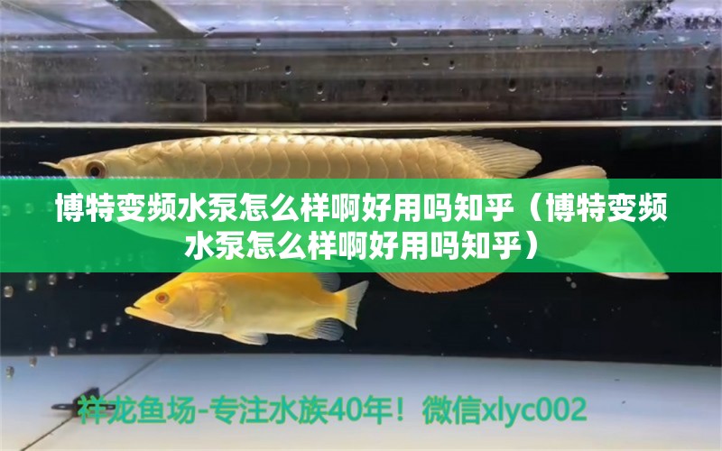 博特變頻水泵怎么樣啊好用嗎知乎（博特變頻水泵怎么樣啊好用嗎知乎）