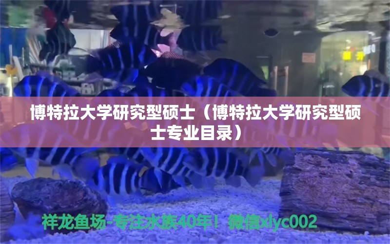 博特拉大學研究型碩士（博特拉大學研究型碩士專業(yè)目錄）