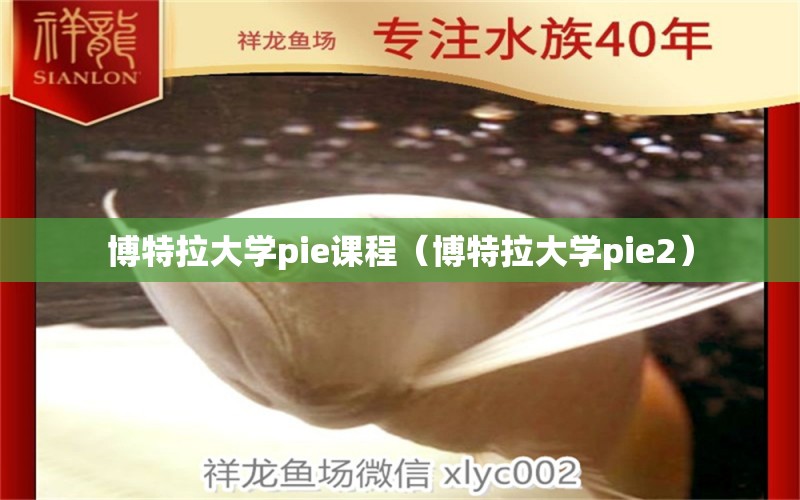 博特拉大學(xué)pie課程（博特拉大學(xué)pie2）