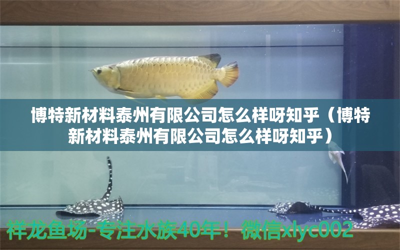 博特新材料泰州有限公司怎么樣呀知乎（博特新材料泰州有限公司怎么樣呀知乎） 博特水族