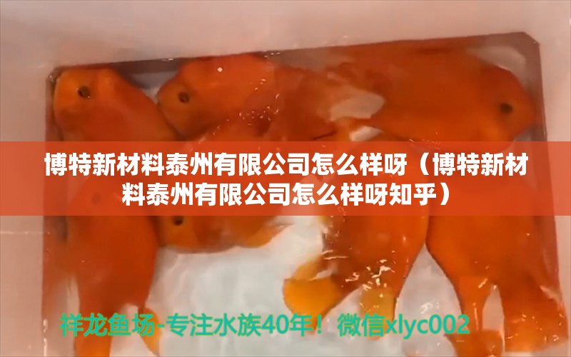 博特新材料泰州有限公司怎么樣呀（博特新材料泰州有限公司怎么樣呀知乎）