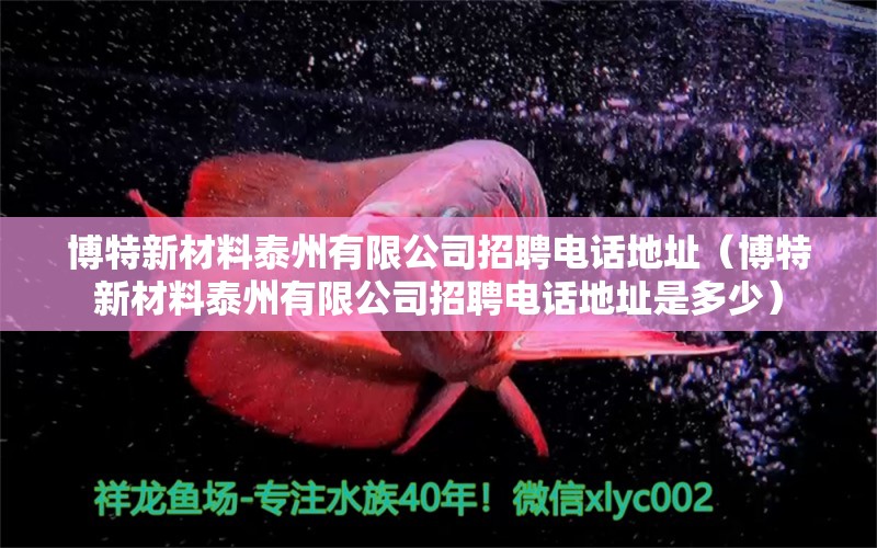 博特新材料泰州有限公司招聘電話地址（博特新材料泰州有限公司招聘電話地址是多少）