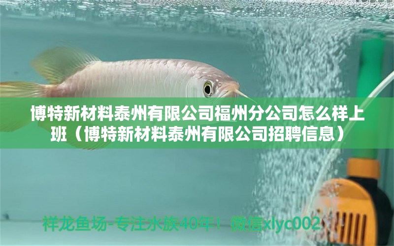 博特新材料泰州有限公司福州分公司怎么樣上班（博特新材料泰州有限公司招聘信息） 博特水族