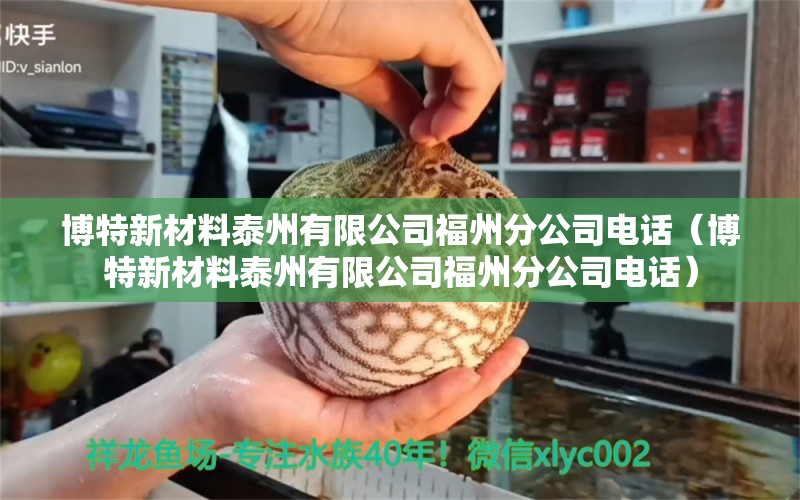 博特新材料泰州有限公司福州分公司電話（博特新材料泰州有限公司福州分公司電話）