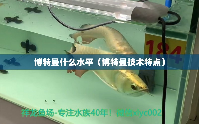 博特曼什么水平（博特曼技術(shù)特點(diǎn)）