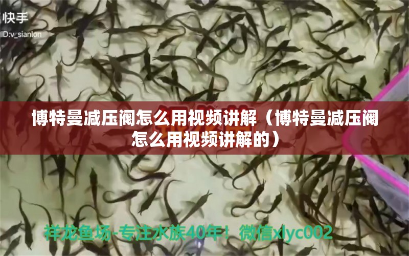 博特曼減壓閥怎么用視頻講解（博特曼減壓閥怎么用視頻講解的）