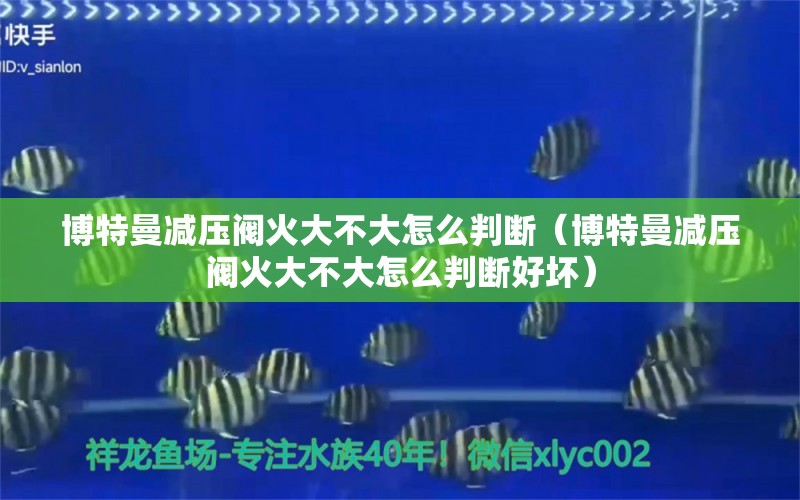 博特曼減壓閥火大不大怎么判斷（博特曼減壓閥火大不大怎么判斷好壞）