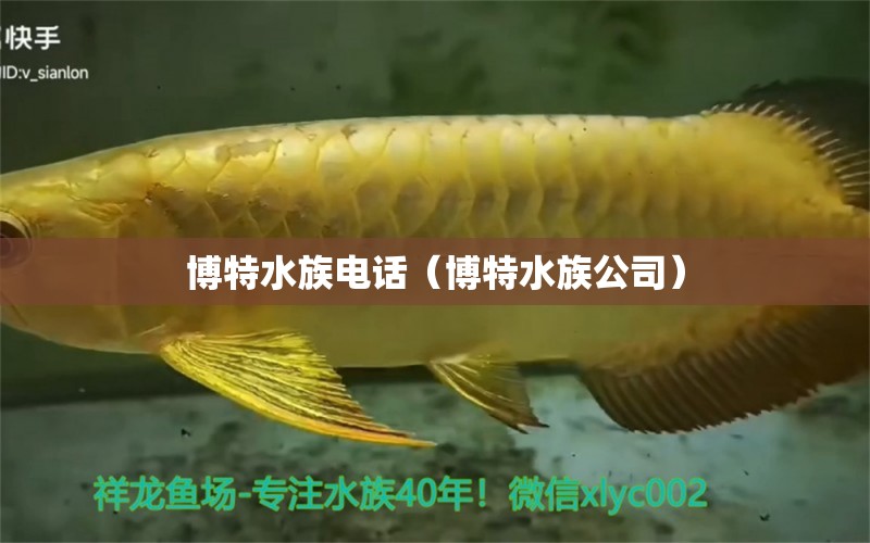 博特水族電話(huà)（博特水族公司） 博特水族