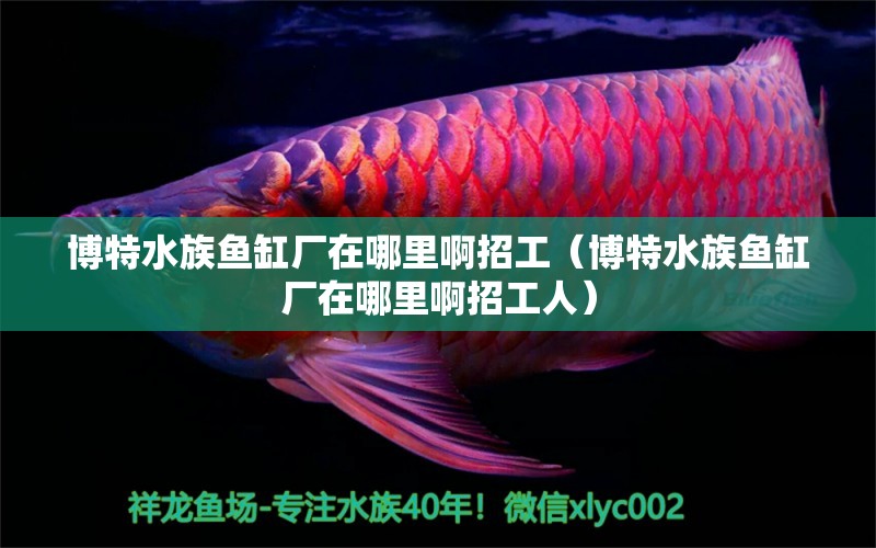 博特水族魚缸廠在哪里啊招工（博特水族魚缸廠在哪里啊招工人）