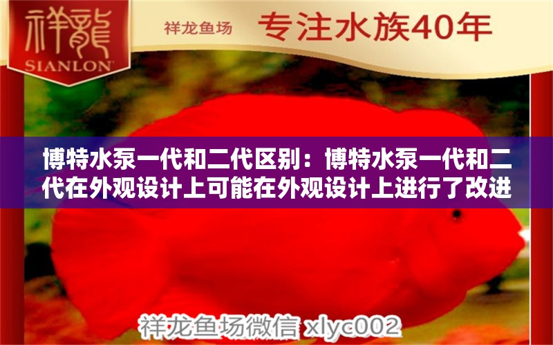 博特水泵一代和二代區(qū)別：博特水泵一代和二代在外觀設(shè)計上可能在外觀設(shè)計上進(jìn)行了改進(jìn) 博特水族 第2張