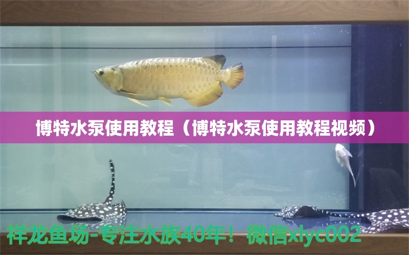 博特水泵使用教程（博特水泵使用教程視頻）