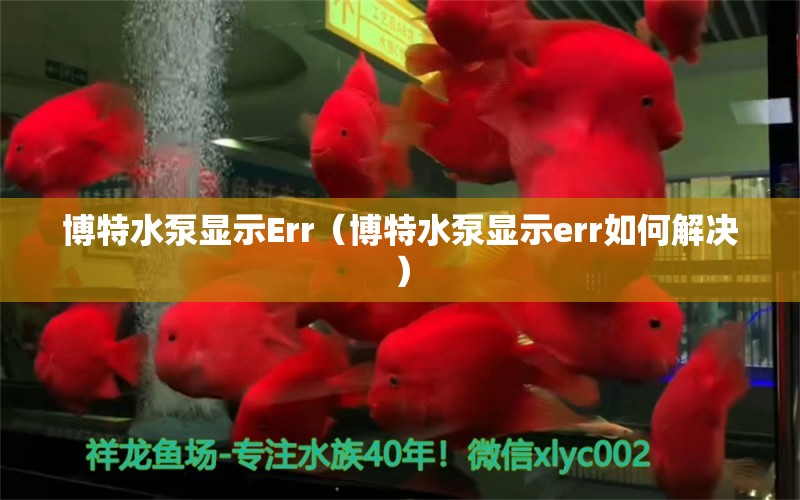 博特水泵顯示Err（博特水泵顯示err如何解決）