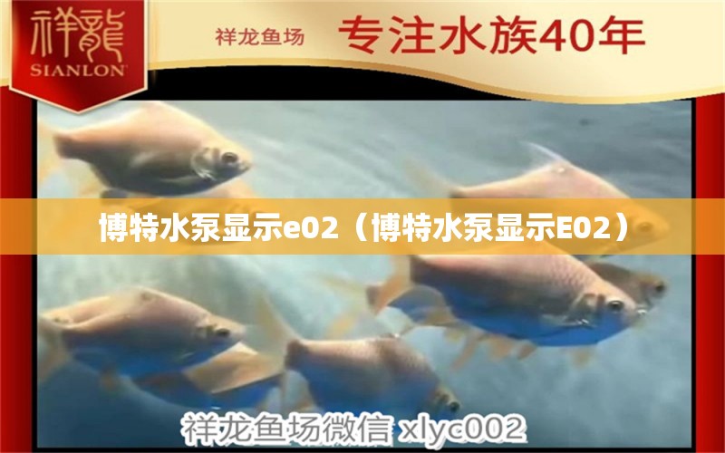 博特水泵顯示e02（博特水泵顯示E02）