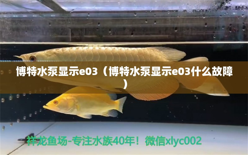 博特水泵顯示e03（博特水泵顯示e03什么故障）