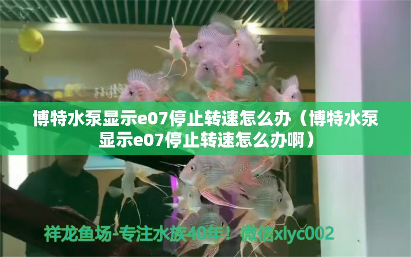 博特水泵顯示e07停止轉速怎么辦（博特水泵顯示e07停止轉速怎么辦?。? title=