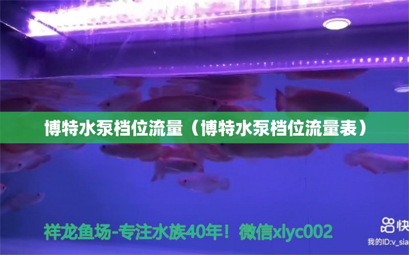 博特水泵檔位流量（博特水泵檔位流量表）