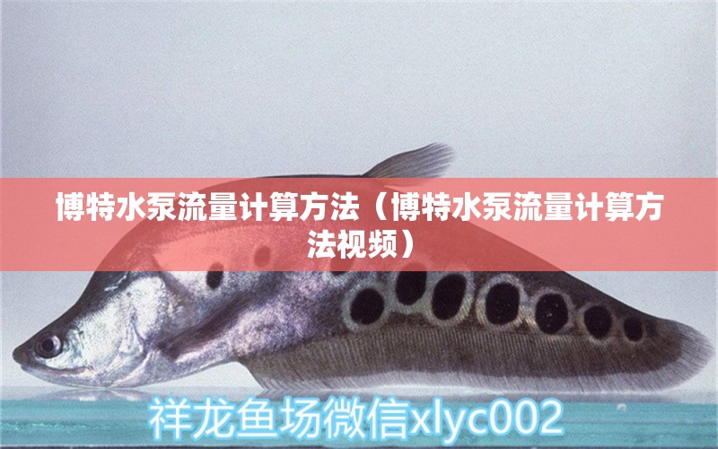 博特水泵流量計算方法（博特水泵流量計算方法視頻）