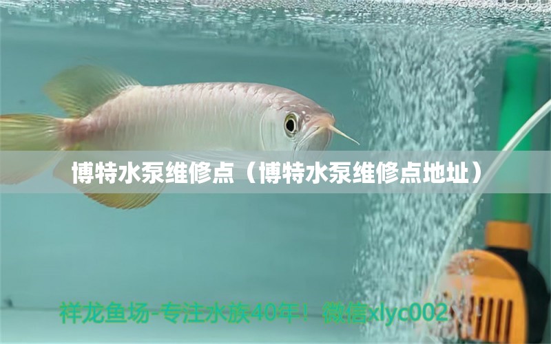 博特水泵維修點（博特水泵維修點地址） 博特水族