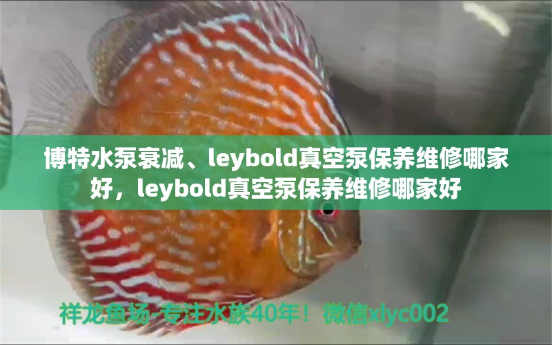 博特水泵衰減、leybold真空泵保養(yǎng)維修哪家好，leybold真空泵保養(yǎng)維修哪家好