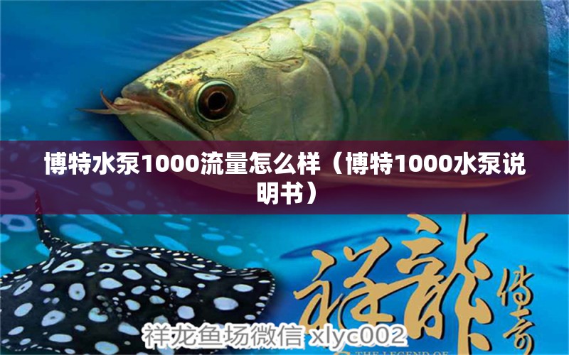 博特水泵1000流量怎么樣（博特1000水泵說明書） 博特水族