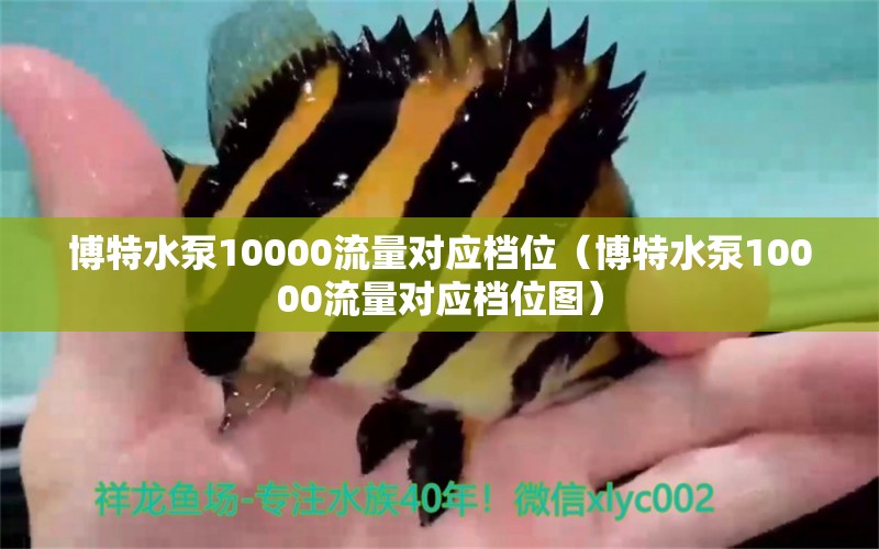 博特水泵10000流量對應檔位（博特水泵10000流量對應檔位圖）