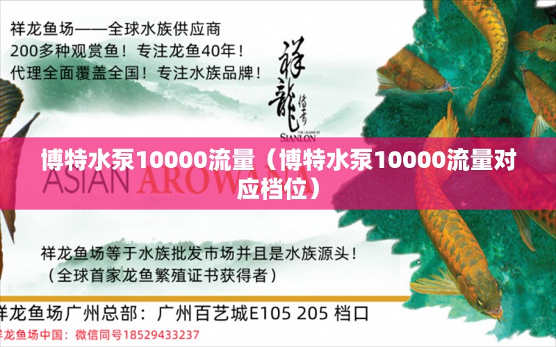 博特水泵10000流量（博特水泵10000流量對(duì)應(yīng)檔位）