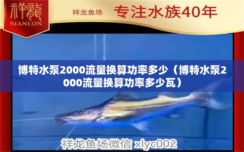 博特水泵2000流量換算功率多少（博特水泵2000流量換算功率多少瓦） 博特水族