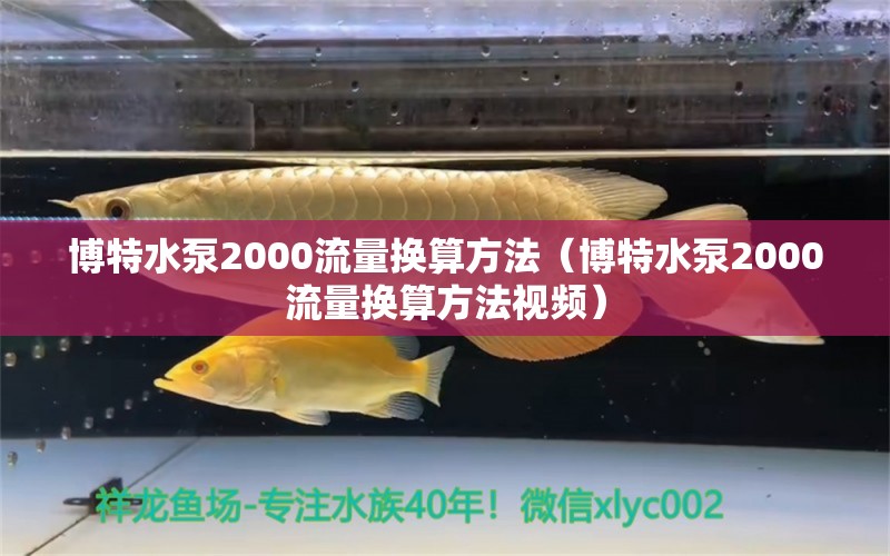 博特水泵2000流量換算方法（博特水泵2000流量換算方法視頻）