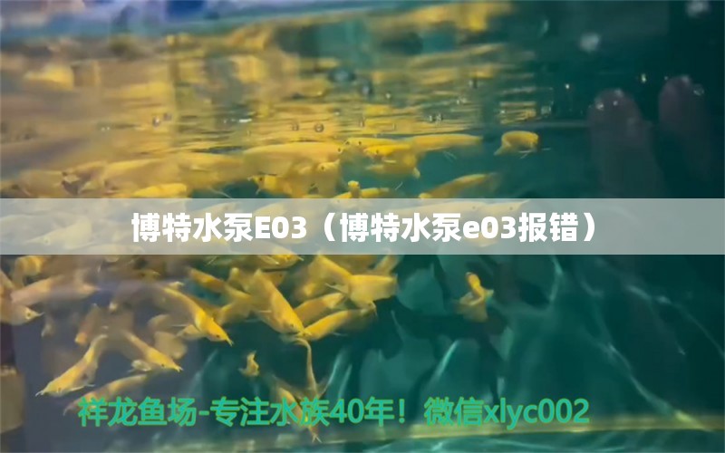 博特水泵E03（博特水泵e03報錯）