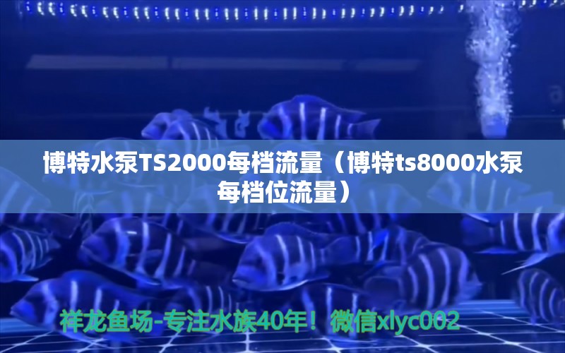 博特水泵TS2000每檔流量（博特ts8000水泵每檔位流量） 博特水族