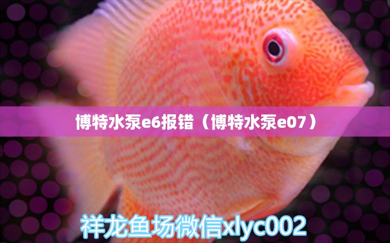 博特水泵e6報(bào)錯(cuò)（博特水泵e07） 博特水族