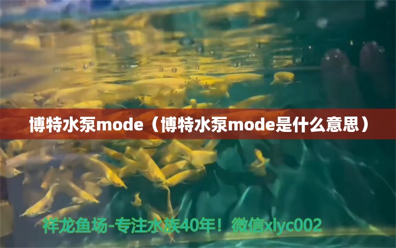 博特水泵mode（博特水泵mode是什么意思）