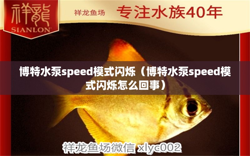 博特水泵speed模式閃爍（博特水泵speed模式閃爍怎么回事） 垂釣樂(lè)園