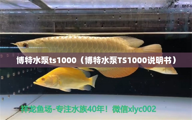 博特水泵ts1000（博特水泵TS1000說明書）