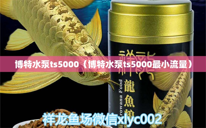 博特水泵ts5000（博特水泵ts5000最小流量）