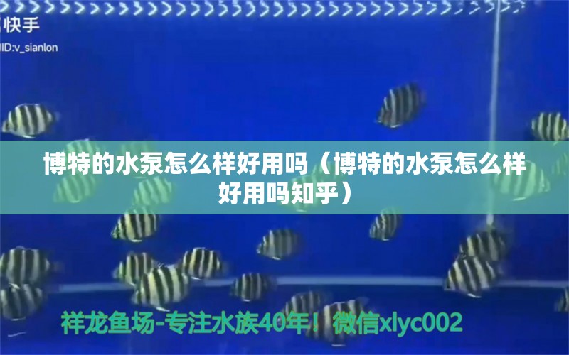 博特的水泵怎么樣好用嗎（博特的水泵怎么樣好用嗎知乎）