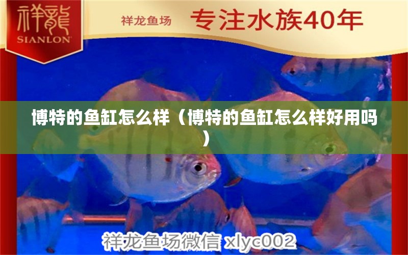 博特的魚缸怎么樣（博特的魚缸怎么樣好用嗎） 博特水族