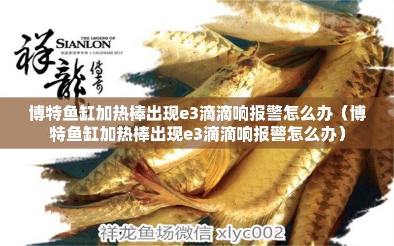 博特魚缸加熱棒出現(xiàn)e3滴滴響報警怎么辦（博特魚缸加熱棒出現(xiàn)e3滴滴響報警怎么辦）